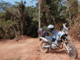 Muitas vezes a selva por pouco nÃ£o fecha a estrada.